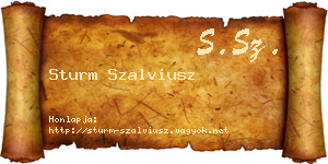 Sturm Szalviusz névjegykártya